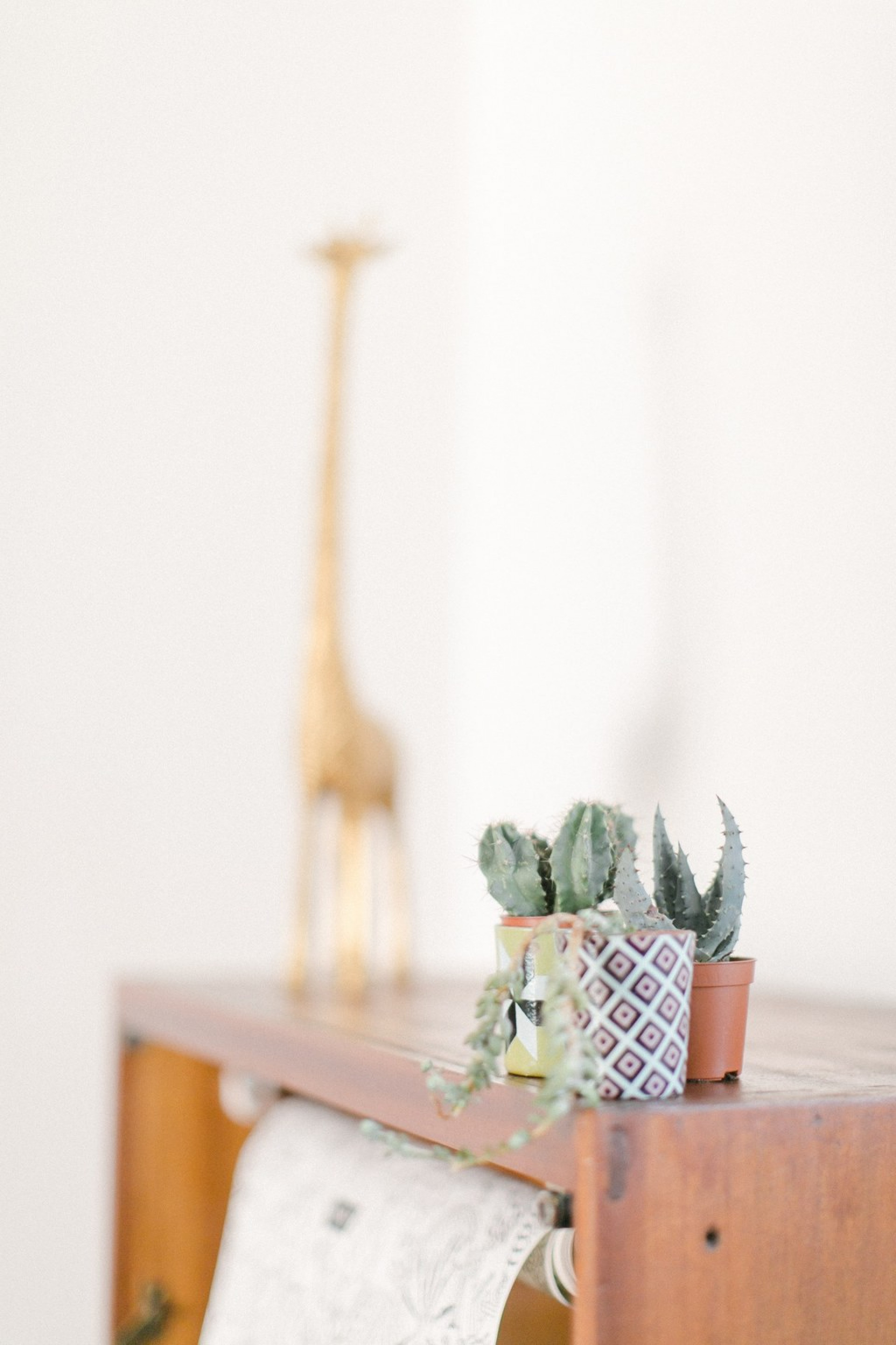 La Borderie du Peuble